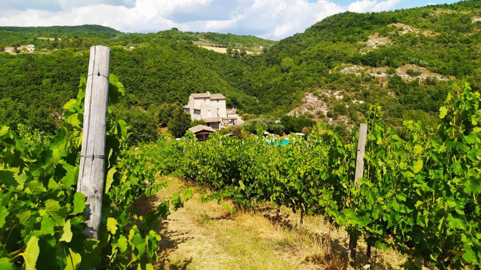 Re Artu Assisi Country Lifestyle Aparthotel Екстериор снимка