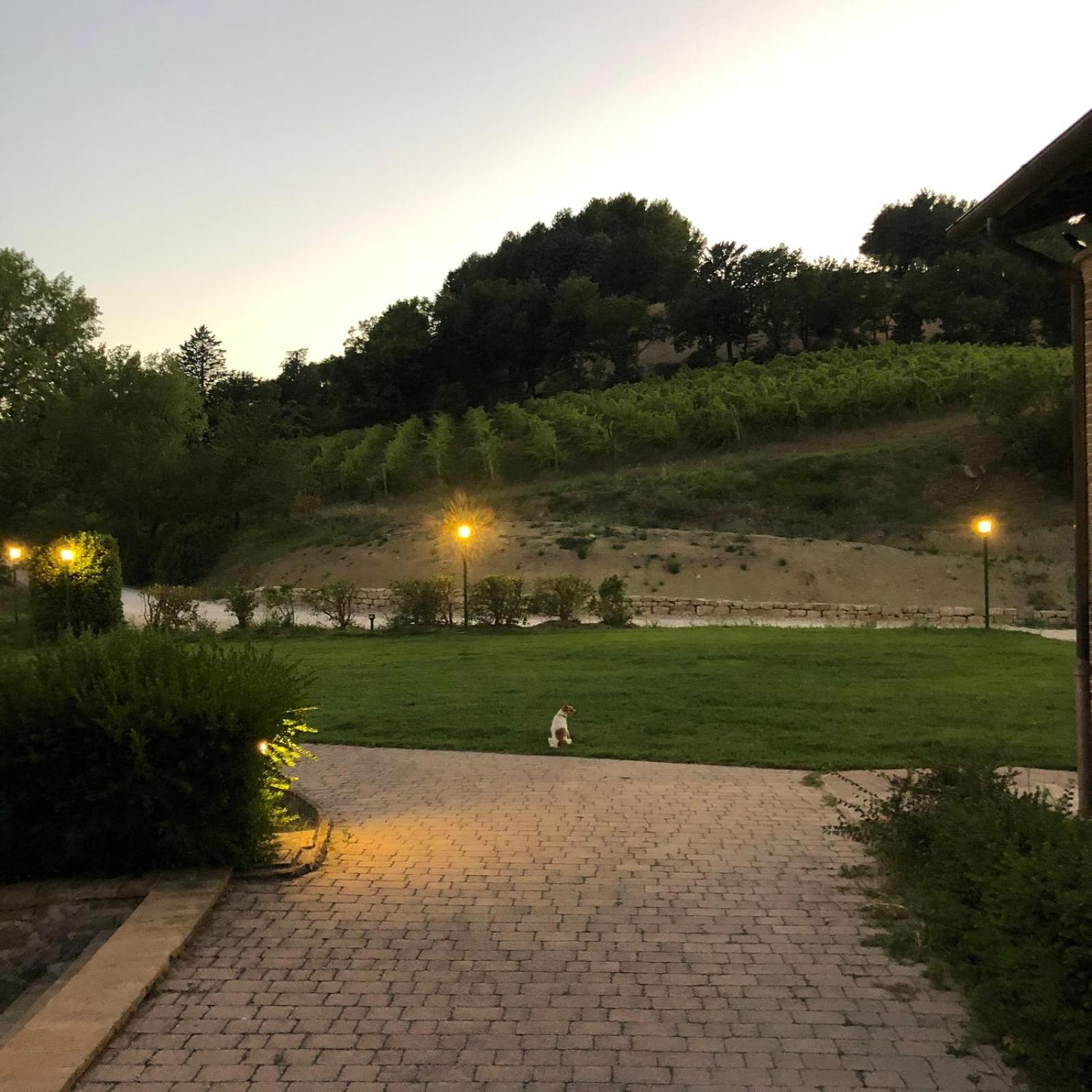 Re Artu Assisi Country Lifestyle Aparthotel Екстериор снимка